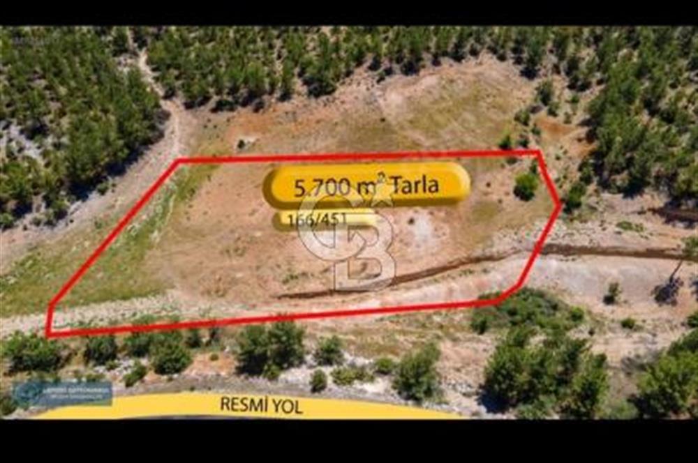 Uşak Ulubey Ana Yol Üzeri 5700 m2 Yola Cepheli Yatırımlık Tarla