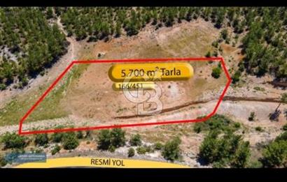 Uşak Ulubey Ana Yol Üzeri 5700 m2 Yola Cepheli Yatırımlık Tarla