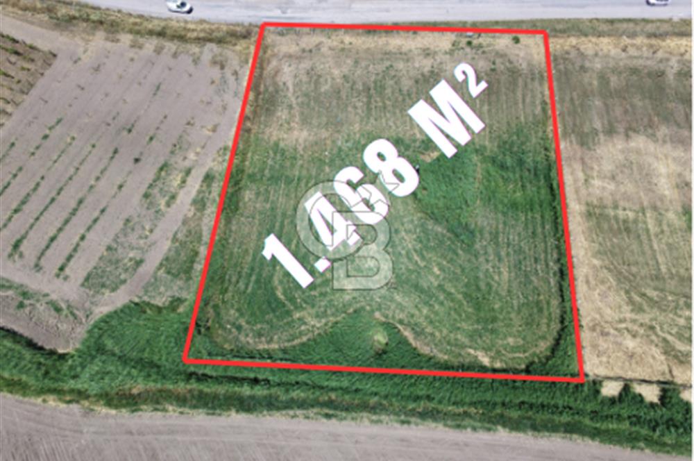 FOÇA YENİBAĞARASI'NDA SATILIK 1.468 M² TARLA