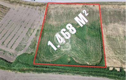 FOÇA YENİBAĞARASI'NDA SATILIK 1.468 M² TARLA