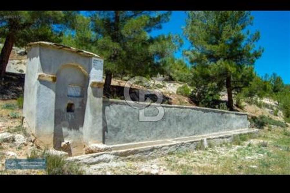 Uşak Ulubey Ana Yol Üzeri 5700 m2 Yola Cepheli Yatırımlık Tarla