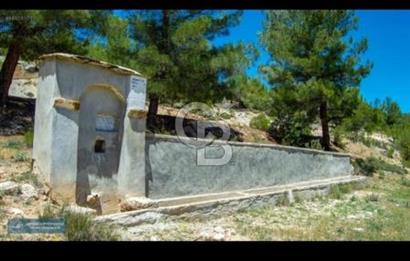 Uşak Ulubey Ana Yol Üzeri 5700 m2 Yola Cepheli Yatırımlık Tarla