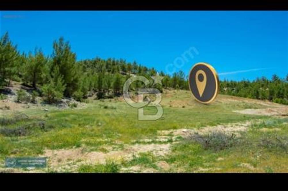 Uşak Ulubey Ana Yol Üzeri 5700 m2 Yola Cepheli Yatırımlık Tarla