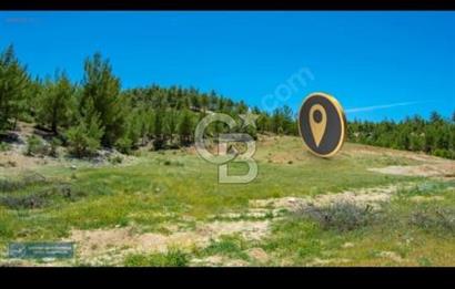 Uşak Ulubey Ana Yol Üzeri 5700 m2 Yola Cepheli Yatırımlık Tarla