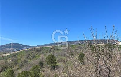 İzmir Bergama Akçenger 4 Dönüm Satılık Tarla