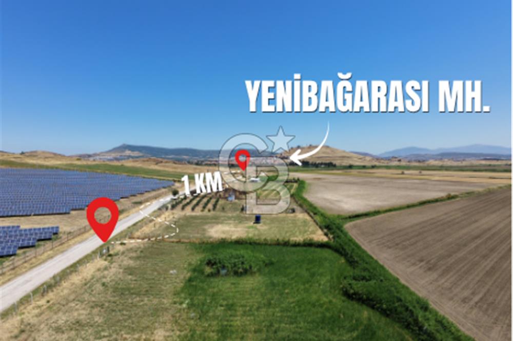 FOÇA YENİBAĞARASI'NDA SATILIK 1.468 M² TARLA