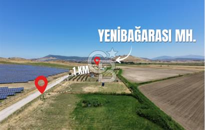 FOÇA YENİBAĞARASI'NDA SATILIK 1.468 M² TARLA