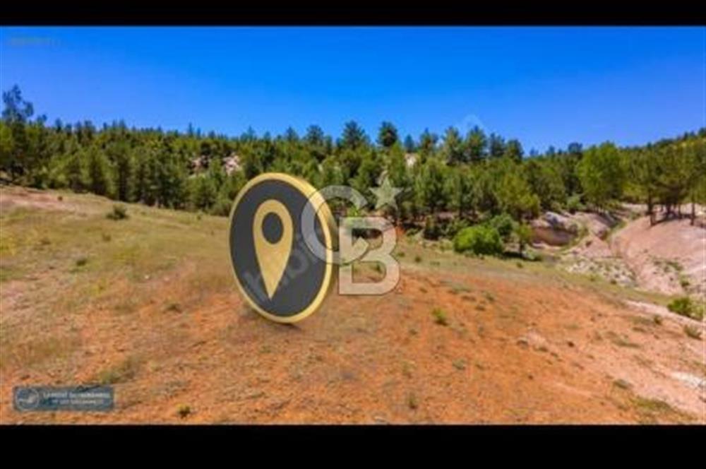 Uşak Ulubey Ana Yol Üzeri 5700 m2 Yola Cepheli Yatırımlık Tarla