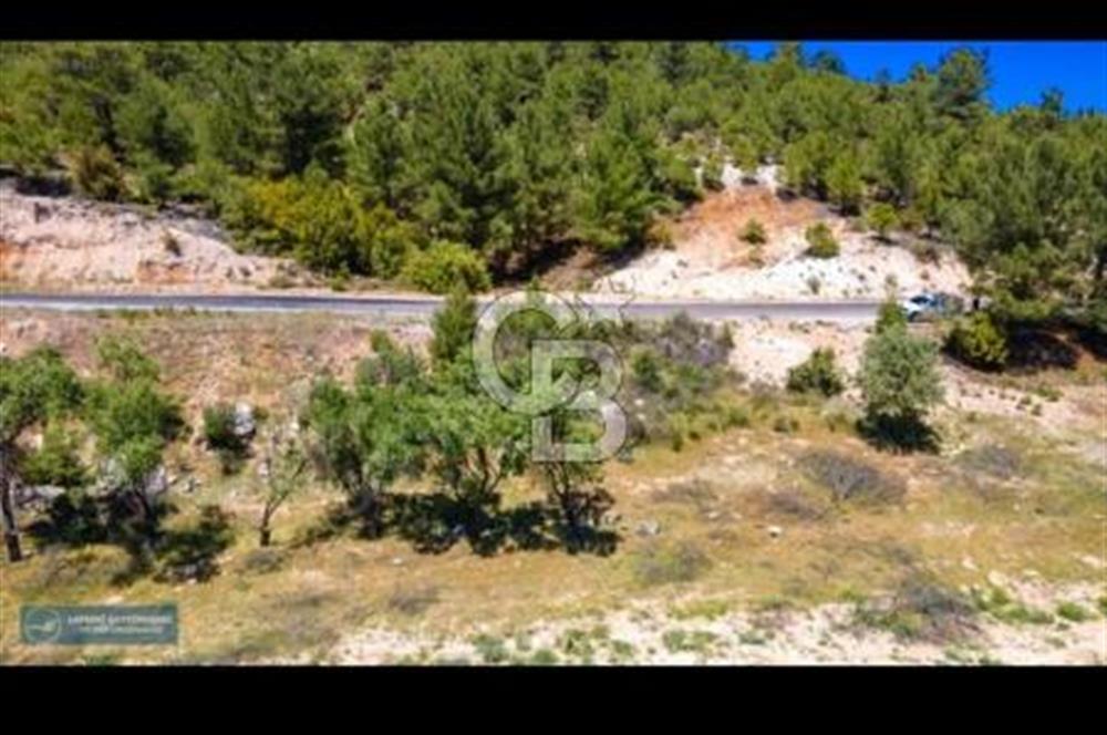 Uşak Ulubey Ana Yol Üzeri 5700 m2 Yola Cepheli Yatırımlık Tarla