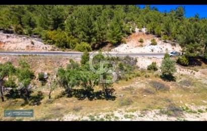 Uşak Ulubey Ana Yol Üzeri 5700 m2 Yola Cepheli Yatırımlık Tarla