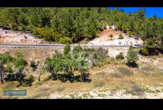Uşak Ulubey Ana Yol Üzeri 5700 m2 Yola Cepheli Yatırımlık Tarla - 1 - 356946