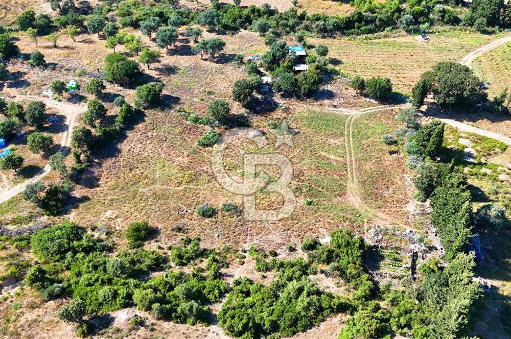 Datça İmar Sınırı'nda YATIRIMLIK Satılık 1651 m² Hisse