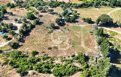 Datça İmar Sınırı'nda YATIRIMLIK Satılık 1651 m² Hisse