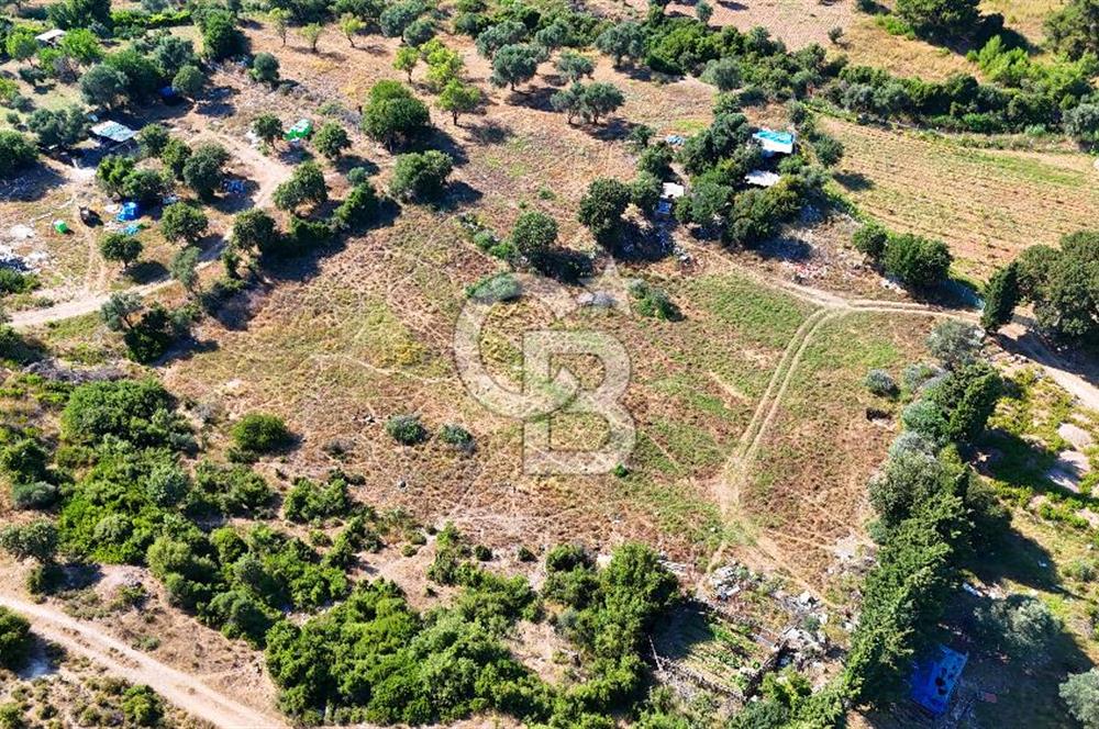 Datça İmar Sınırı'nda YATIRIMLIK Satılık 1651 m² Hisse