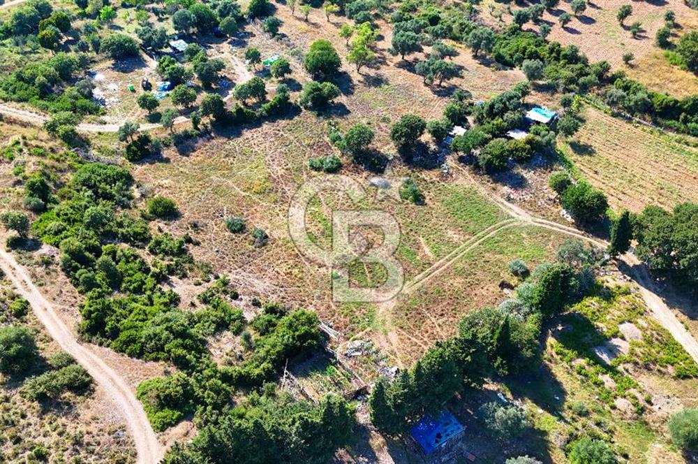 Datça İmar Sınırı'nda YATIRIMLIK Satılık 1651 m² Hisse