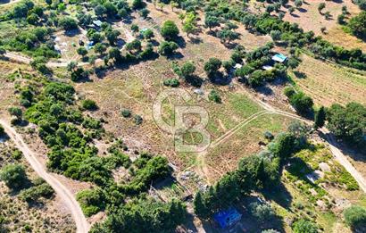 Datça İmar Sınırı'nda YATIRIMLIK Satılık 1651 m² Hisse