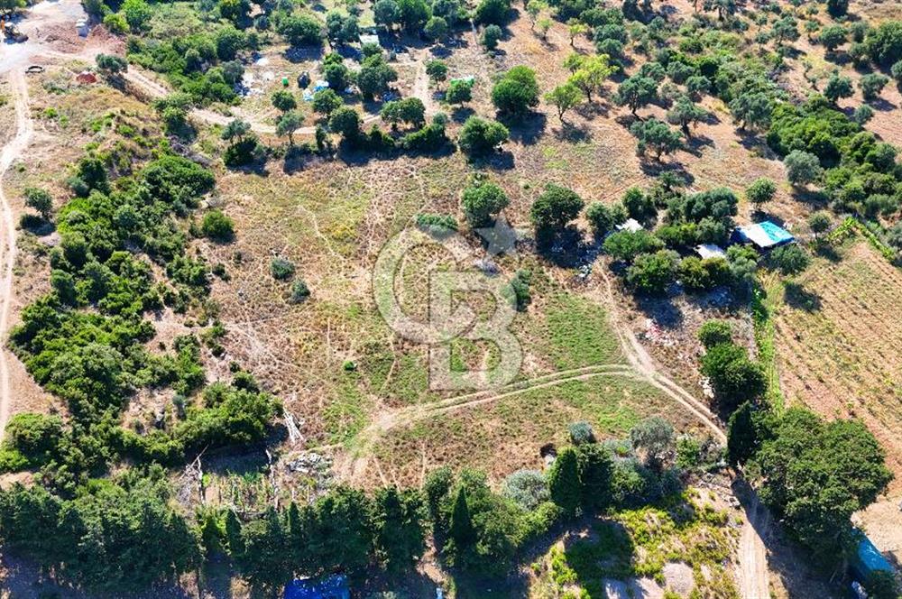 Datça İmar Sınırı'nda YATIRIMLIK Satılık 1651 m² Hisse