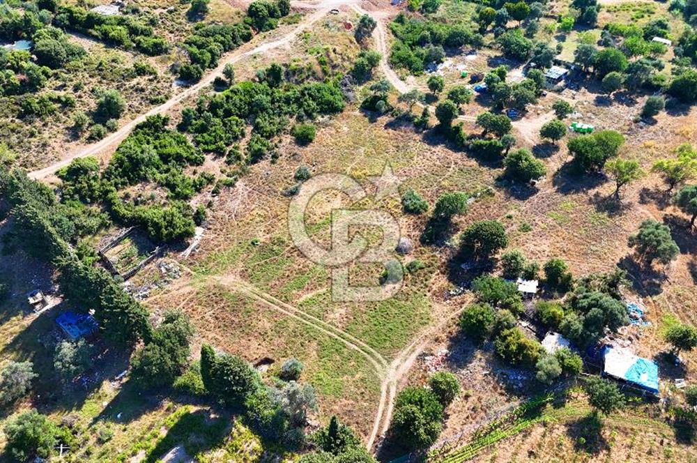 Datça İmar Sınırı'nda YATIRIMLIK Satılık 1651 m² Hisse