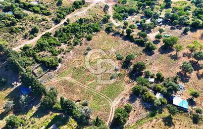Datça İmar Sınırı'nda YATIRIMLIK Satılık 1651 m² Hisse