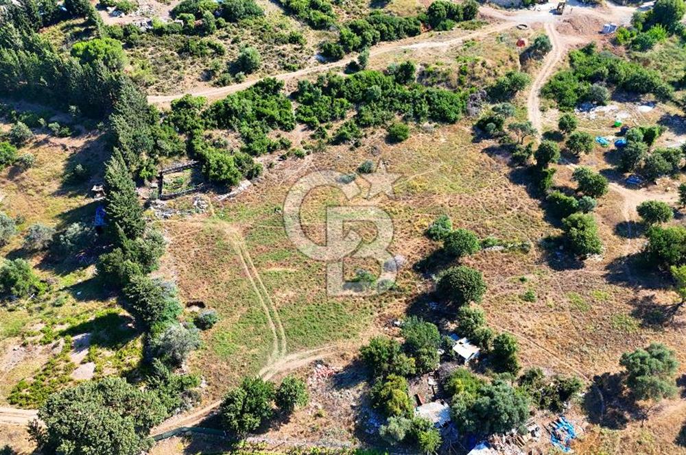 Datça İmar Sınırı'nda YATIRIMLIK Satılık 1651 m² Hisse