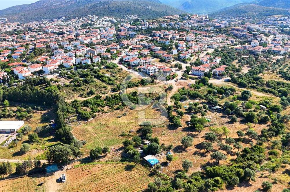Datça İmar Sınırı'nda YATIRIMLIK Satılık 1651 m² Hisse