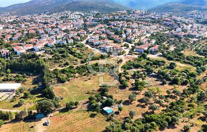 Datça İmar Sınırı'nda YATIRIMLIK Satılık 1651 m² Hisse