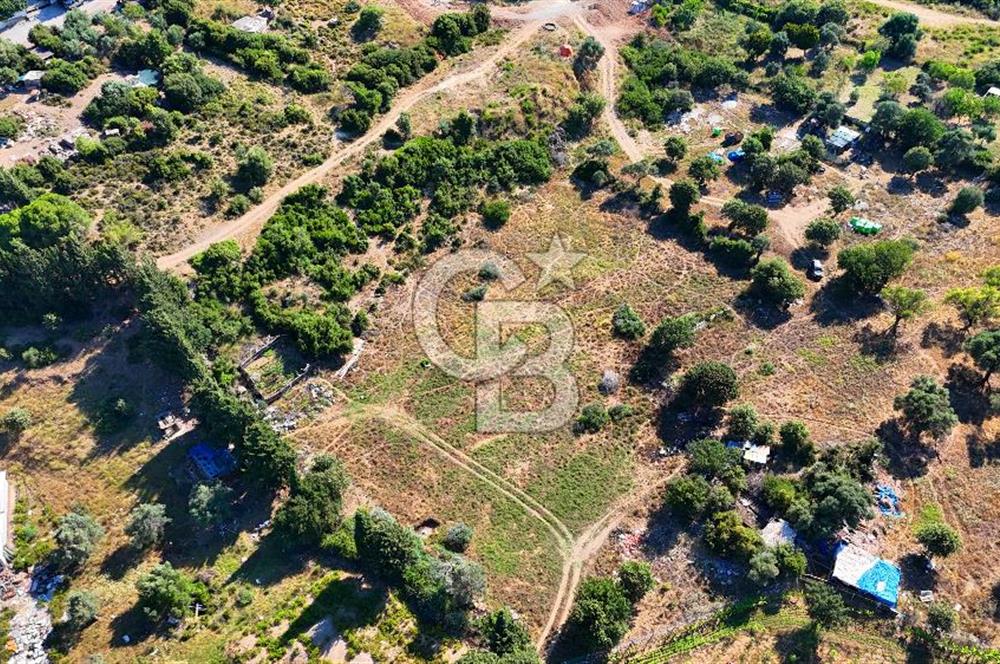 Datça İmar Sınırı'nda YATIRIMLIK Satılık 1651 m² Hisse