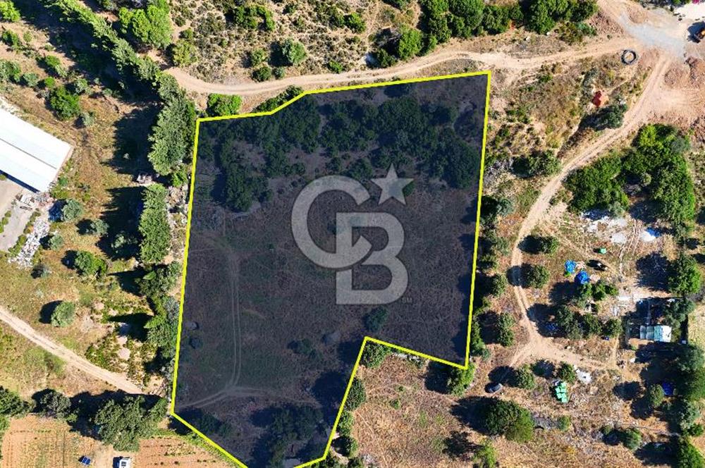 Datça İmar Sınırı'nda YATIRIMLIK Satılık 1651 m² Hisse