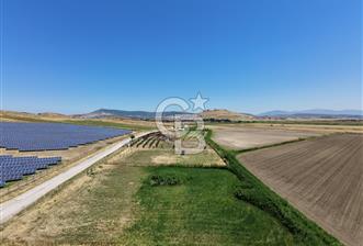 FOÇA YENİBAĞARASI'NDA SATILIK 1.468 M² TARLA - 8 - 356977