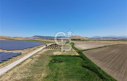 FOÇA YENİBAĞARASI'NDA SATILIK 1.468 M² TARLA