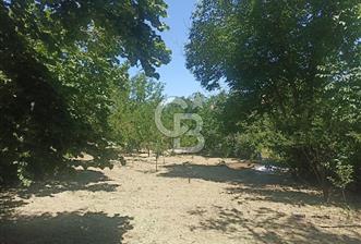 COLDWELL BANKER SAFİR'den GÜNDÜZBEY de 1700 m² SATILIK BAHÇE - 9 - 356965
