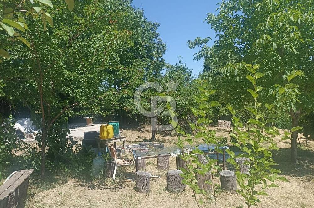 COLDWELL BANKER SAFİR'den GÜNDÜZBEY de 1700 m² SATILIK BAHÇE