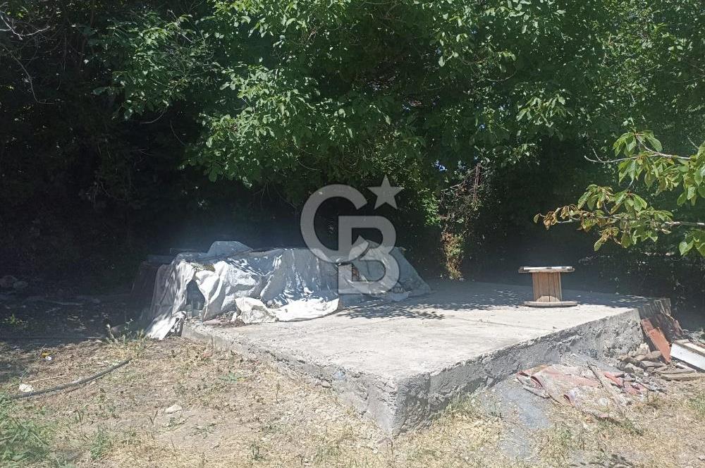 COLDWELL BANKER SAFİR'den GÜNDÜZBEY de 1700 m² SATILIK BAHÇE