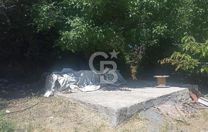 COLDWELL BANKER SAFİR'den GÜNDÜZBEY de 1700 m² SATILIK BAHÇE