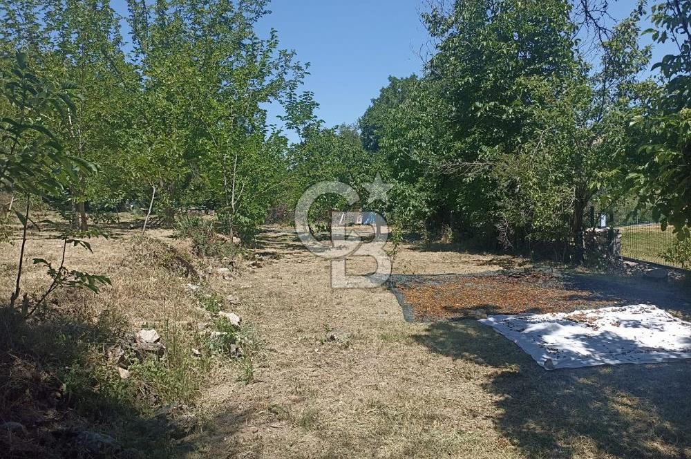 COLDWELL BANKER SAFİR'den GÜNDÜZBEY de 1700 m² SATILIK BAHÇE