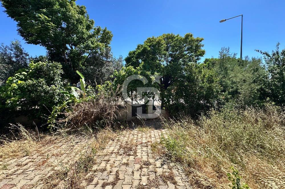 Urla Bademler Doğa Evleri'nde Müstakil 4+1 Villa