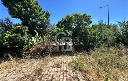 Urla Bademler Doğa Evleri'nde Müstakil 4+1 Villa