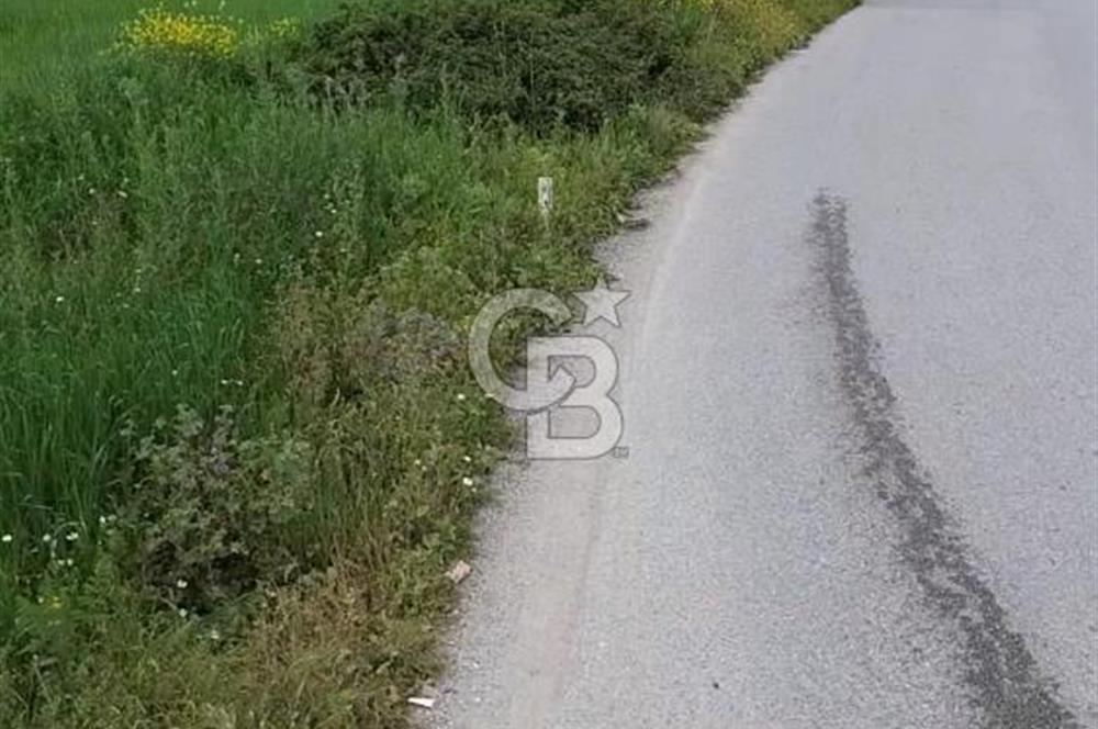 EVONA'DAN YUNUSEMRE MURADİYEDE SATILIK 253 M2 ARSA