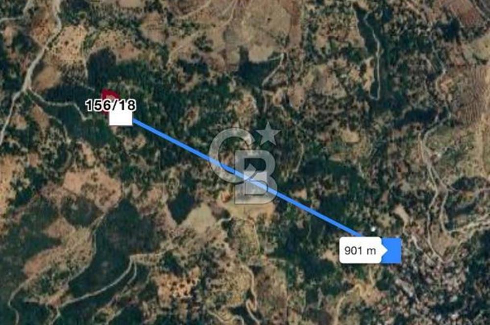 İzmir Tire Merkeze Yakın 3144 M2 Fırsat Satılık Arazi