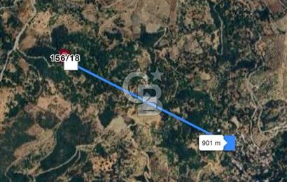 İzmir Tire Merkeze Yakın 3144 M2 Fırsat Satılık Arazi