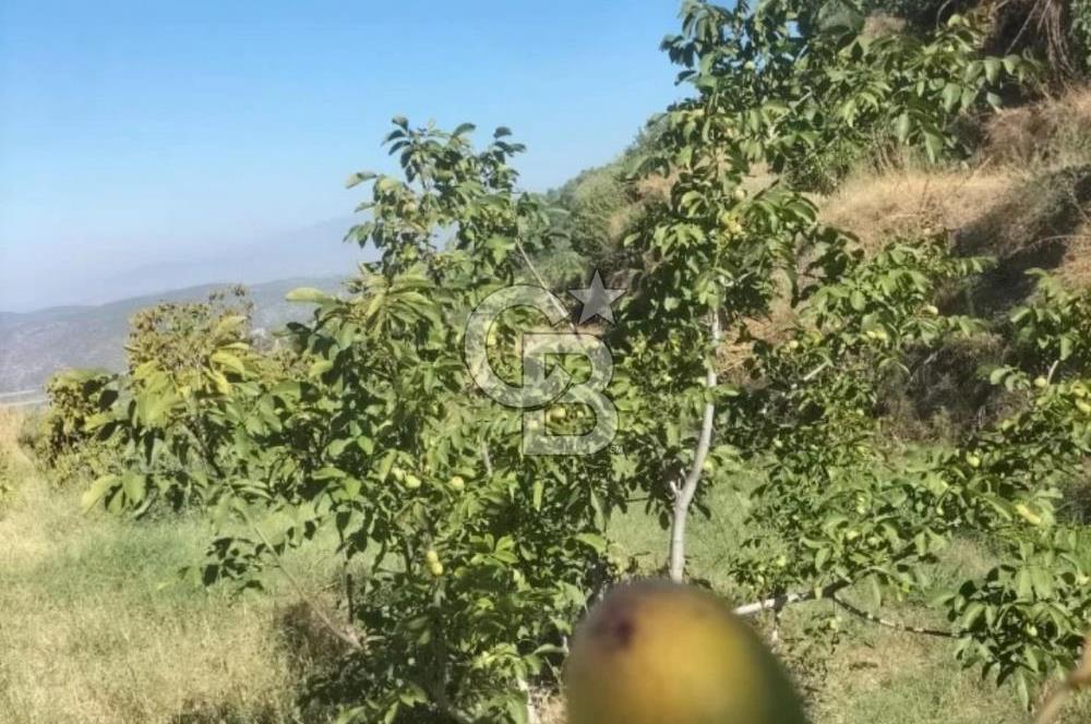 İzmir Tire Merkeze Yakın 3144 M2 Fırsat Satılık Arazi