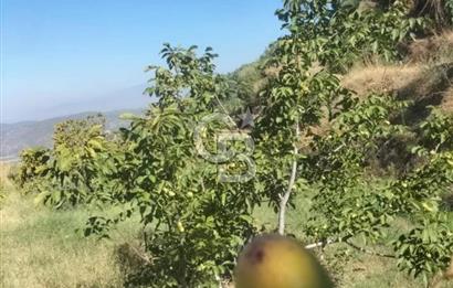 İzmir Tire Merkeze Yakın 3144 M2 Fırsat Satılık Arazi