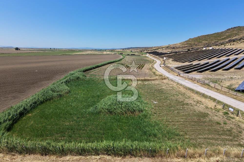 FOÇA YENİBAĞARASI'NDA SATILIK 1.468 M² TARLA