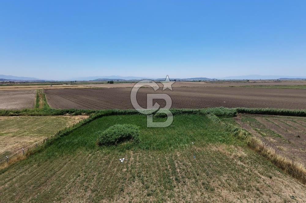 FOÇA YENİBAĞARASI'NDA SATILIK 1.468 M² TARLA
