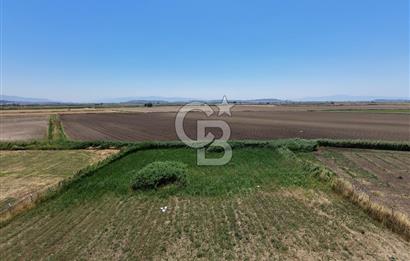 FOÇA YENİBAĞARASI'NDA SATILIK 1.468 M² TARLA