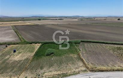 FOÇA YENİBAĞARASI'NDA SATILIK 1.468 M² TARLA
