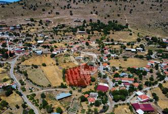 İzmir Bergama Seklik Köyünde 2,5 Dönüm Zeytinlik İçinde Satılık Müstakil Ev - 1 - 356981