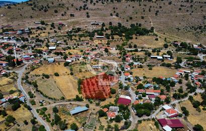 İzmir Bergama Seklik Köyünde 2,5 Dönüm Zeytinlik İçinde Satılık Müstakil Ev