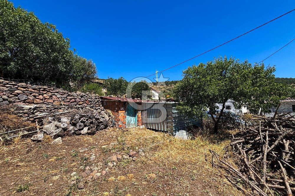 İzmir Bergama Seklik Köyünde 2,5 Dönüm Zeytinlik İçinde Satılık Müstakil Ev