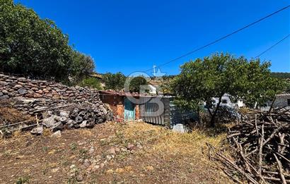 İzmir Bergama Seklik Köyünde 2,5 Dönüm Zeytinlik İçinde Satılık Müstakil Ev